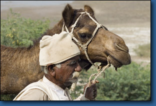 Gujarat16