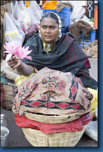 Gujarat49